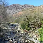 Rattlebeck